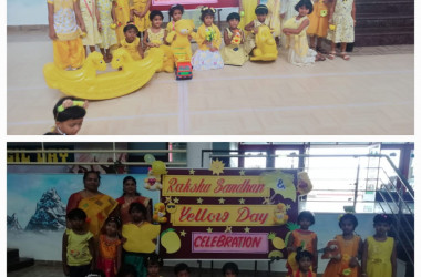 Yellow Day Celebration And Raksha Bandhan 2022