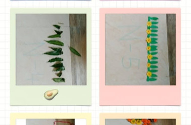 Toran Making Competition 